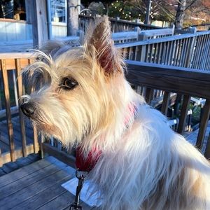 Meet your Posher, Vicki